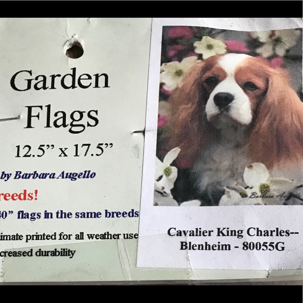 Cavalier King Charles Garden Flag